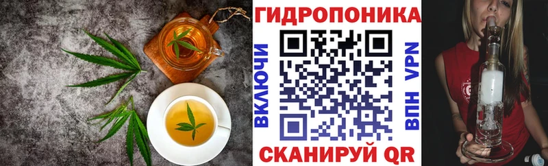 Canna-Cookies конопля  купить   omg tor  Нариманов 