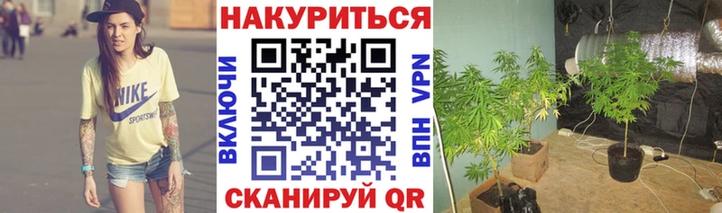 Бошки марихуана марихуана  где можно купить наркотик  нарко площадка формула  Нариманов 
